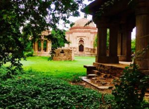 Hauz Khas Village Greenery