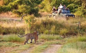 Kumbhalgarh Wildlife Sanctuary