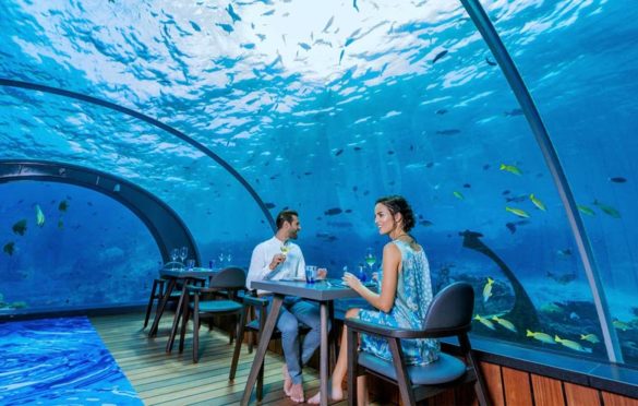 Underwater Dining - Swan Tours - Travel Experiences, Popular Places ...