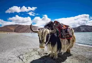 Leh Ladakh Packages from Bangalore