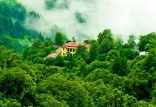 Mussoorie Tour Packages from Pune
